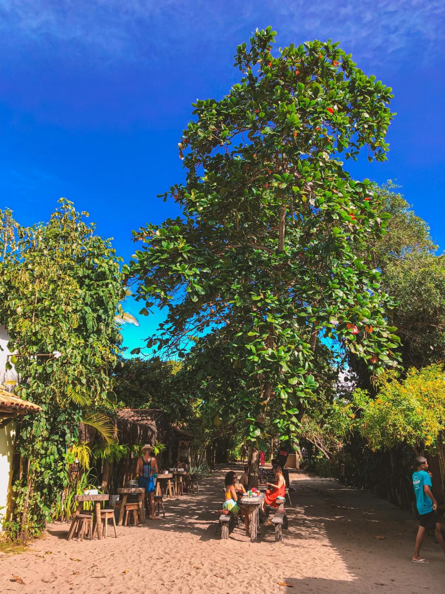 Pousada Villa Esperanca - Xando - Caraiva Ba Экстерьер фото